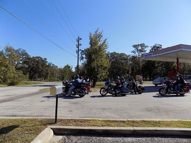 Edi - Cedar Key 2017-11-17 (40)