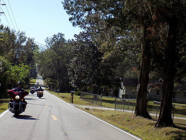 Edi - Cedar Key 2017-11-17 (42)