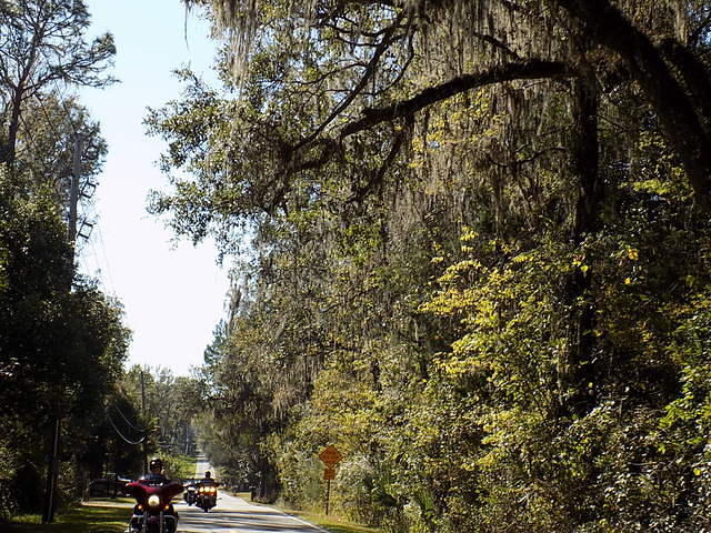 Edi - Cedar Key 2017-11-17 (43)