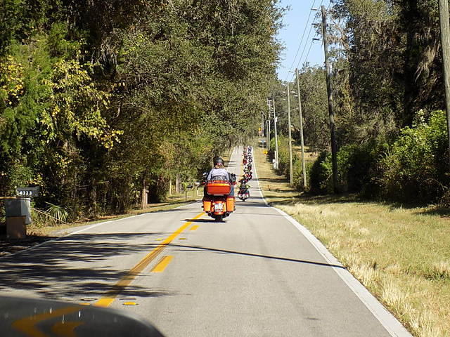 Edi - Cedar Key 2017-11-17 (45)