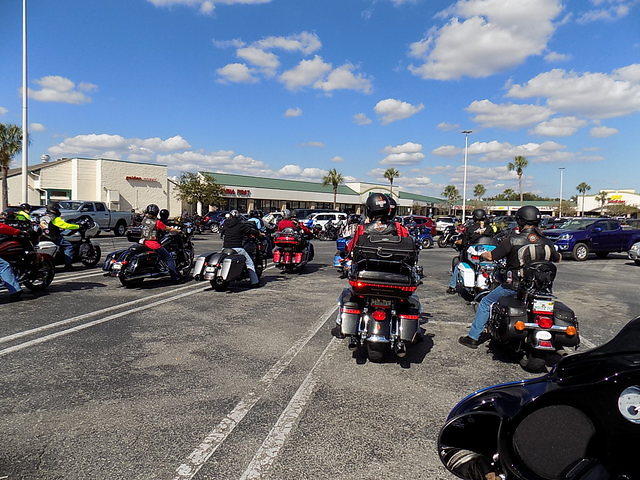 Edi - Cedar Key 2017-11-17 (46)