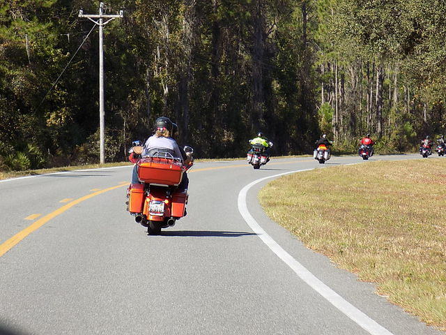 Edi - Cedar Key 2017-11-17 (53)