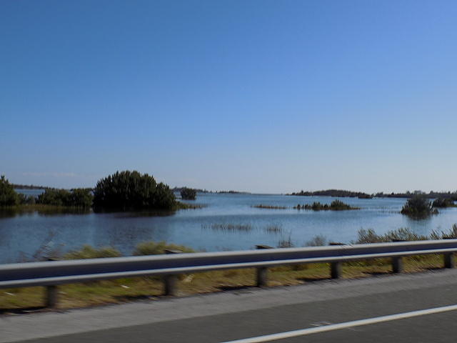 Edi - Cedar Key 2017-11-17 (56)