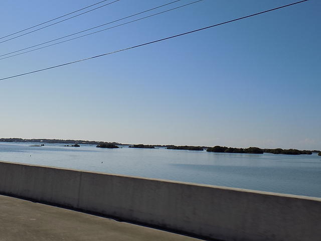 Edi - Cedar Key 2017-11-17 (57)