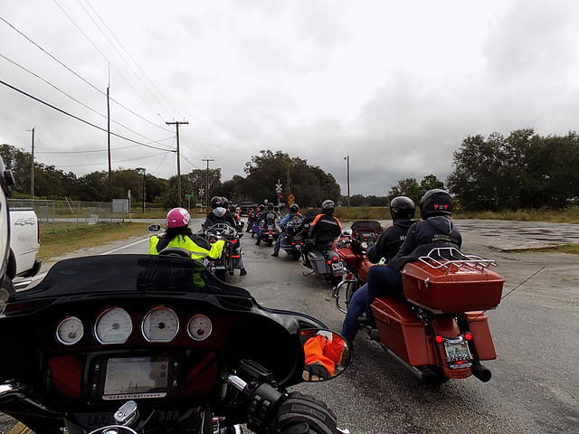 Edi - Red Elephant 2017-11-12 (24)