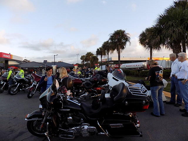Edi - Amelia Island Overnight 10-14-2017 (1)