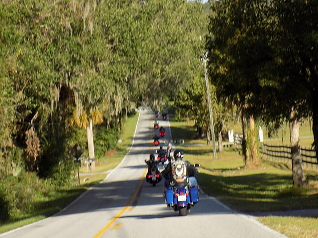 Edi - Seagrass Homosassa 10-28-2017 (33)