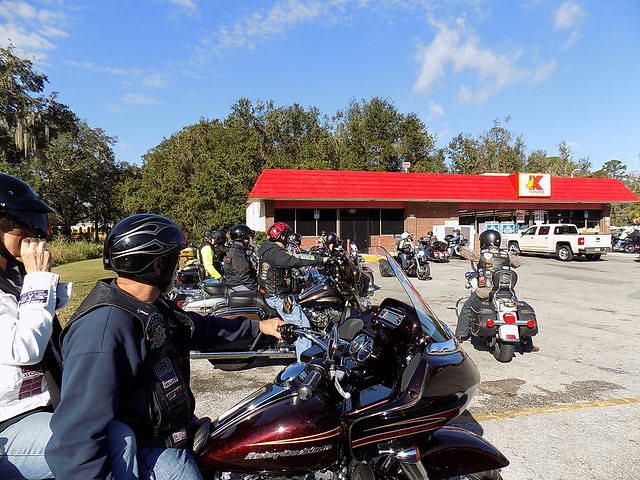 Edi - Seagrass Homosassa 10-28-2017 (35)
