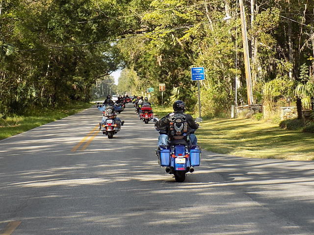 Edi - Seagrass Homosassa 10-28-2017 (37)