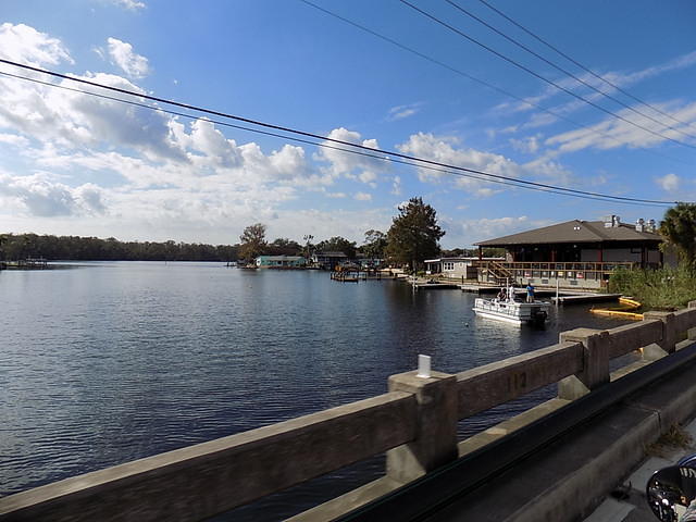 Edi - Seagrass Homosassa 10-28-2017 (38)