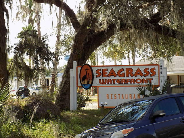Edi - Seagrass Homosassa 10-28-2017 (39)