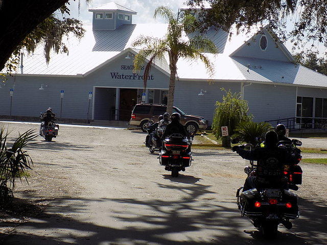 Edi - Seagrass Homosassa 10-28-2017 (40)
