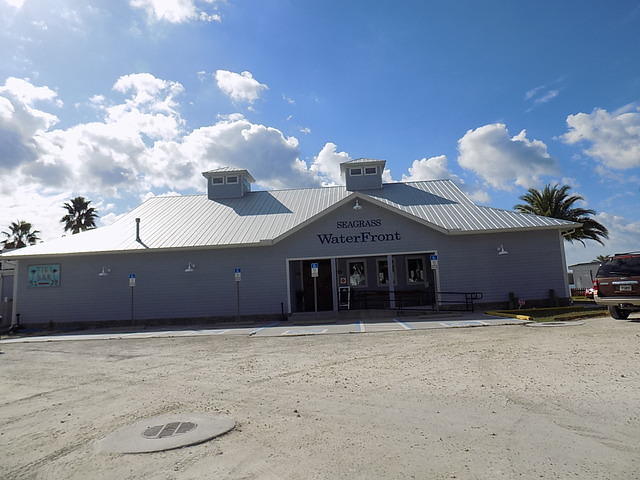 Edi - Seagrass Homosassa 10-28-2017 (41)