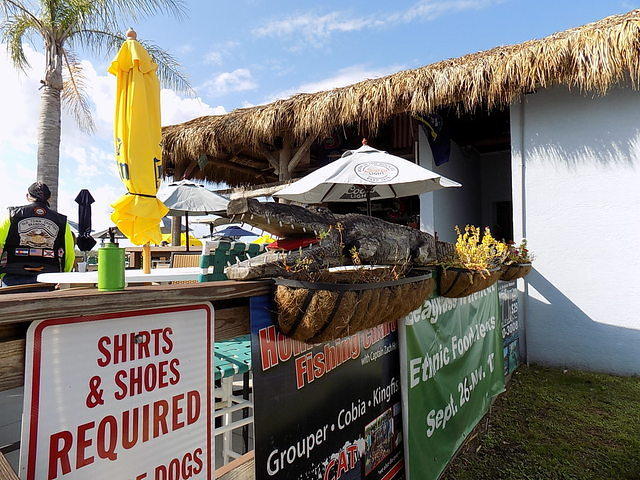 Edi - Seagrass Homosassa 10-28-2017 (43)