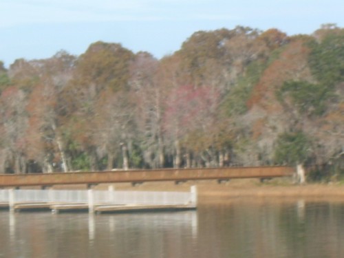 aau