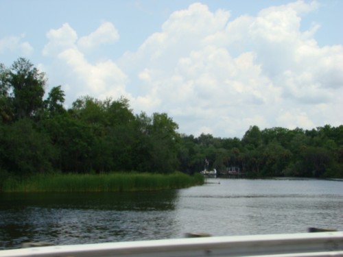 aac