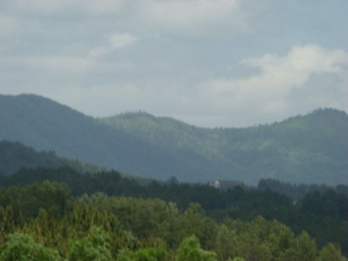 aca