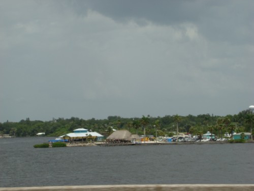 aal