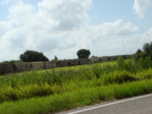 aba