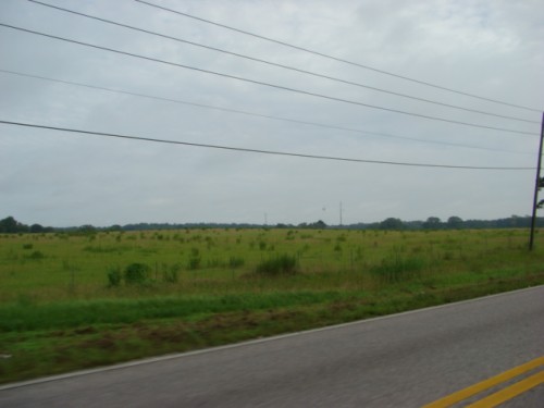 aae