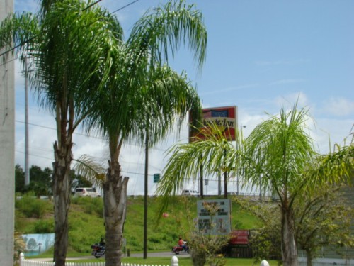 abp