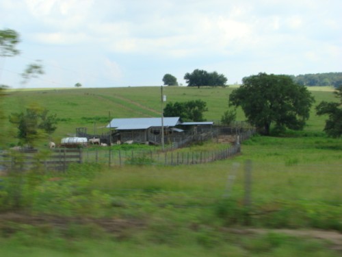 aan