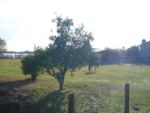 abn