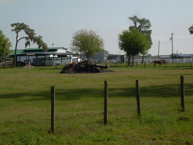 afh