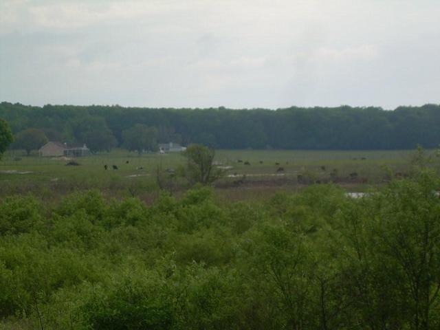 aal