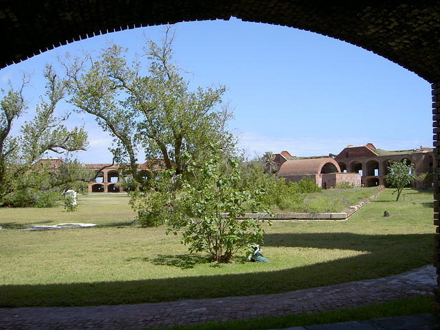 aal