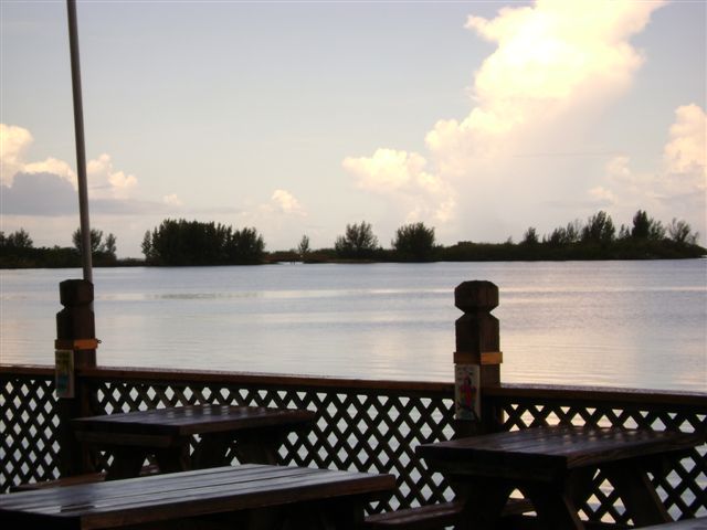 aav