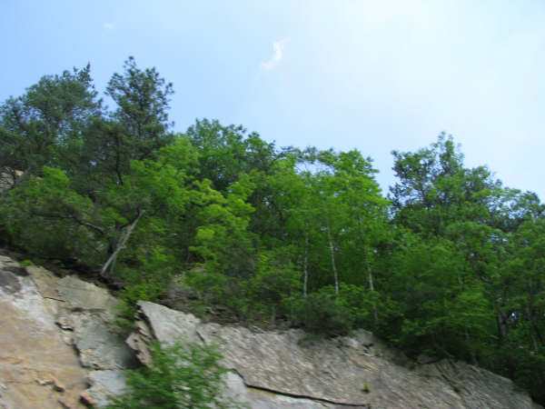aba