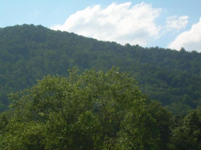 aeb