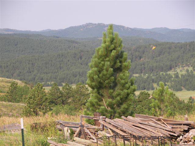 aax