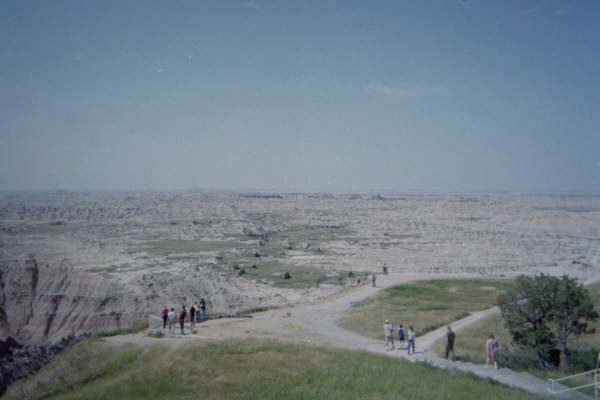 aee