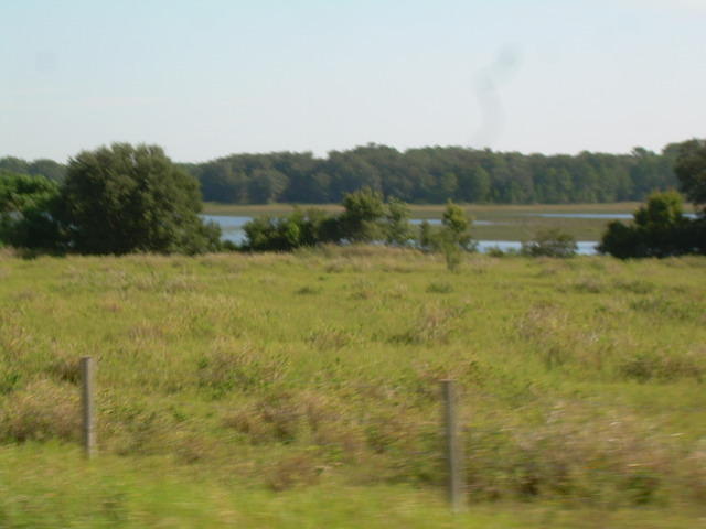 aav