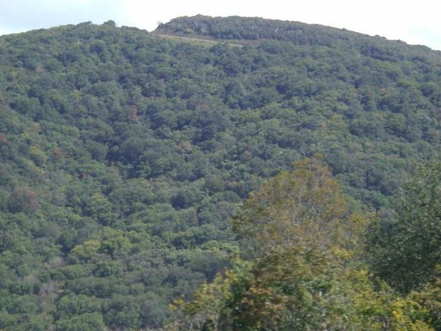 aaa