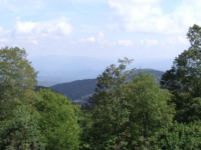 aae