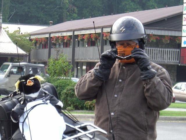adh