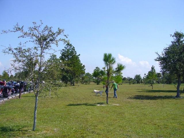 aam
