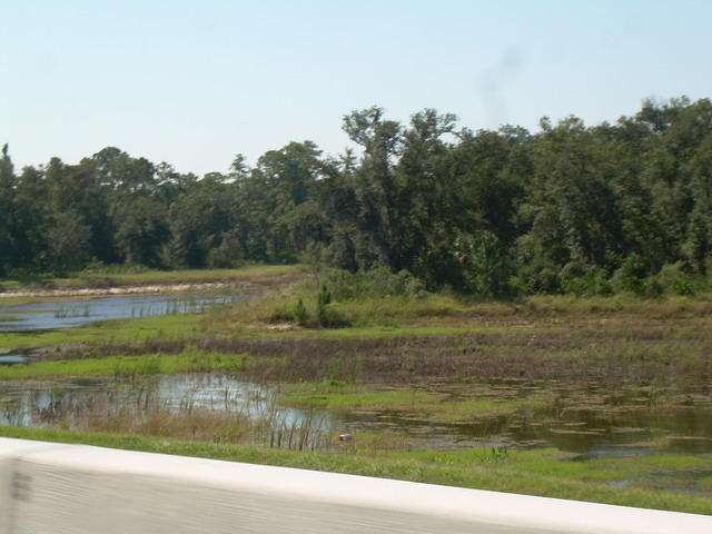 aas
