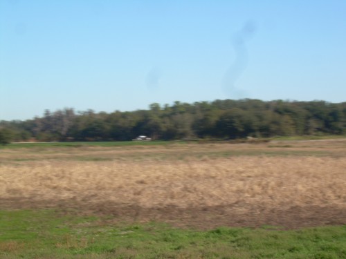 aav