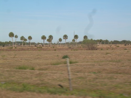 aaa