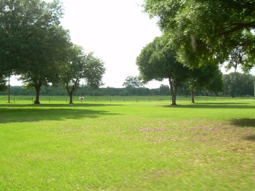 aan