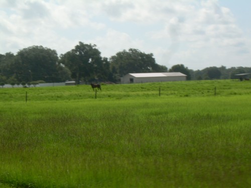 aaa