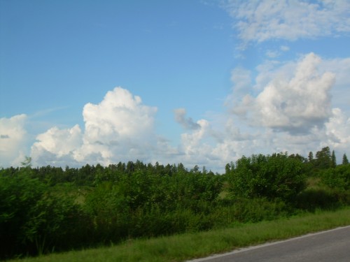 aad