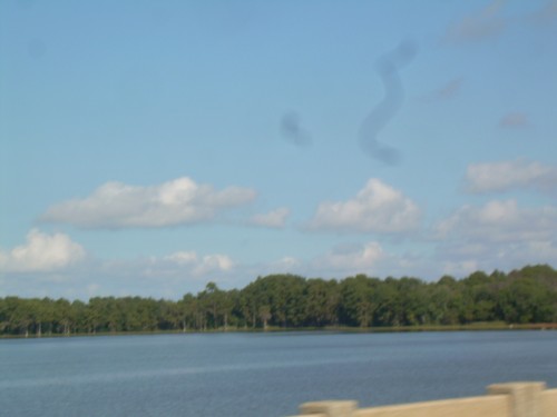 aae