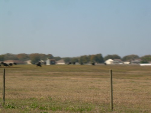 aar