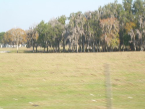 aas