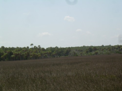 acw